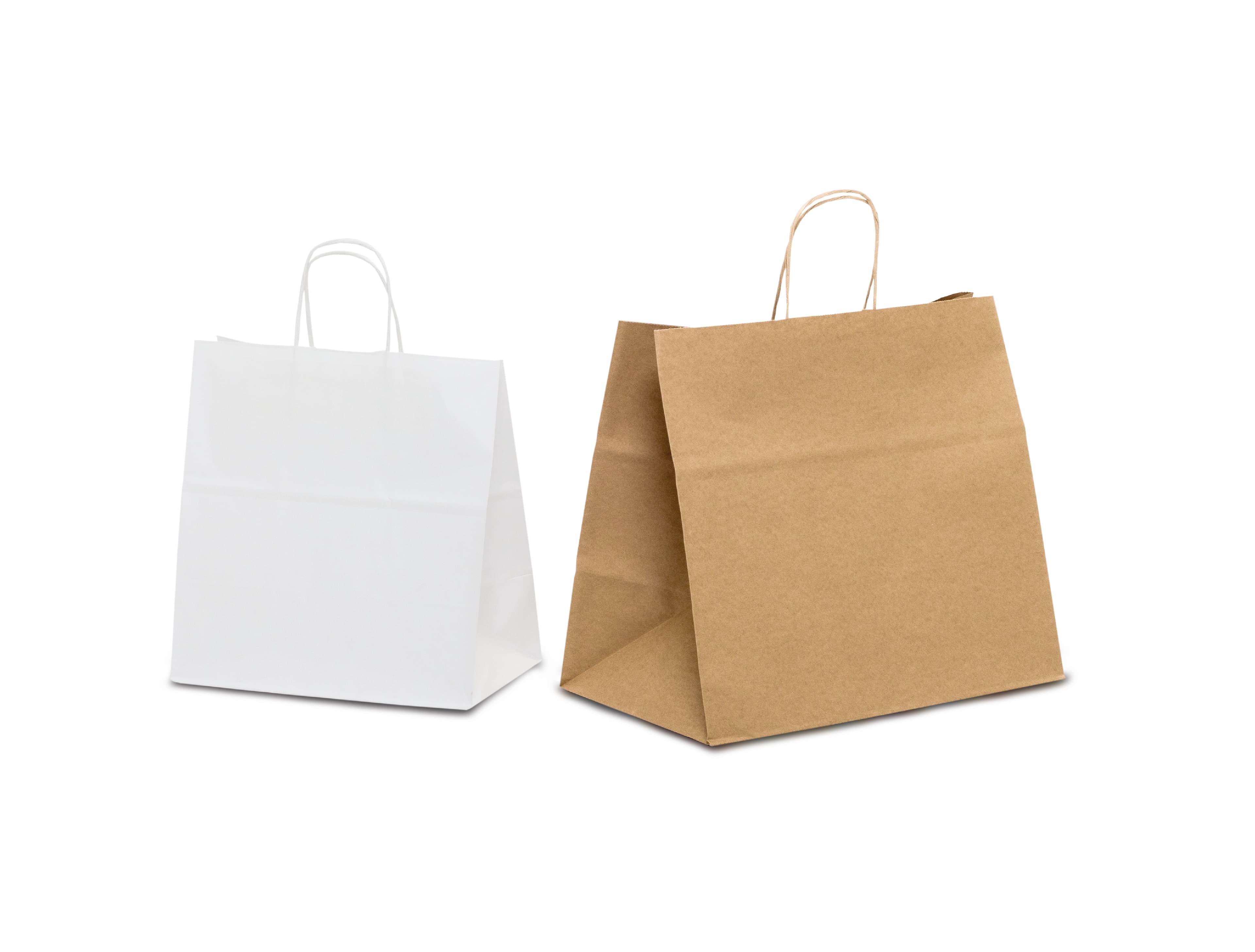Shopping bags take away in carta certificata